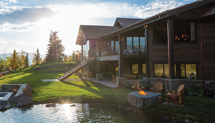 Safe for Us, Safe for Them: Glass for Birds, Turtles and Other Wildlife